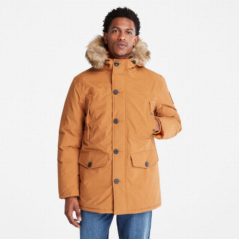 Timberland Boundary Peak Warm Parka Žute | 95346016