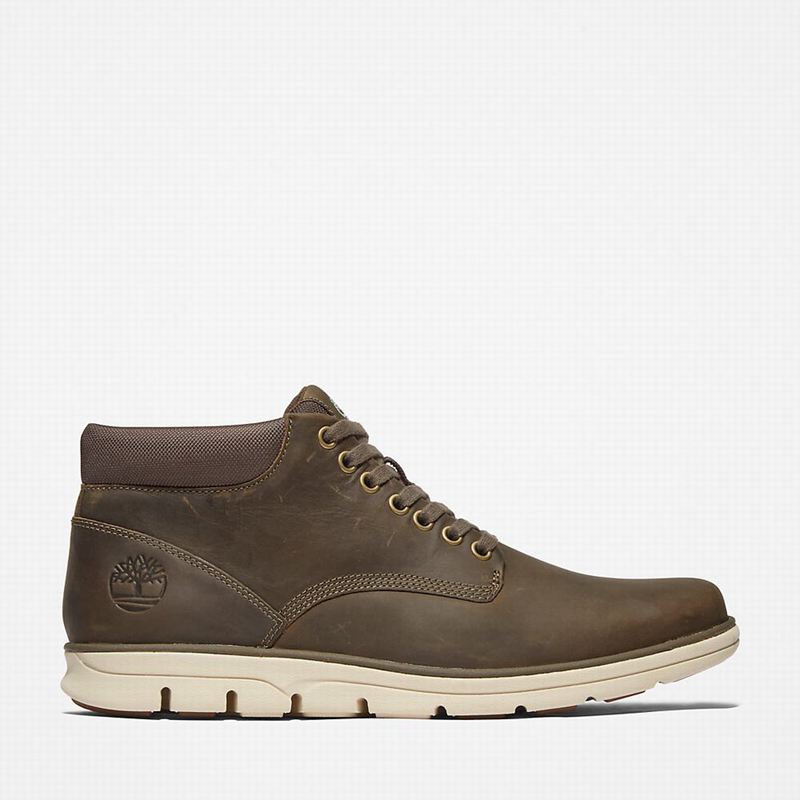 Timberland Bradstreet Chukka Čizme Maslinasto Zelene | 56500630