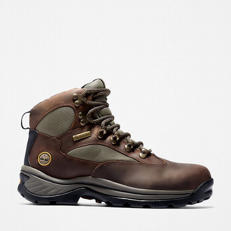 Timberland Chocorua Gore-Tex Planinarske Cipele Smeđe | 3609019