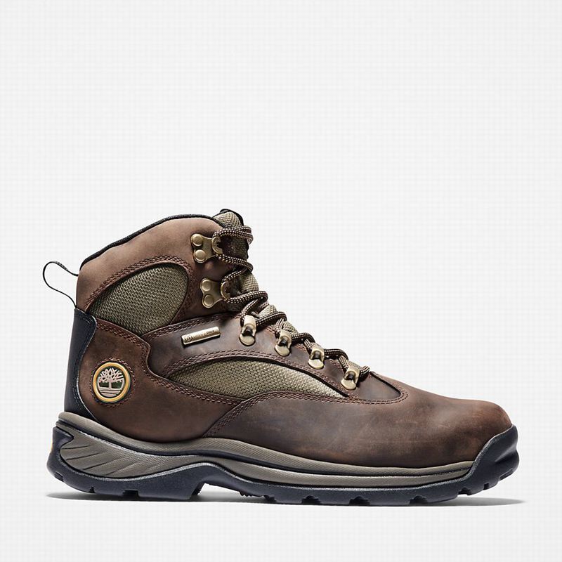Timberland Chocorua Waterproof Planinarske Cipele Smeđe | 64433741
