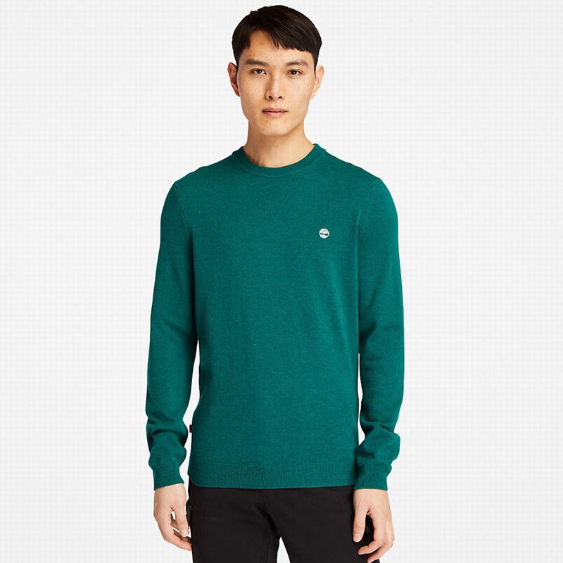 Timberland Cohas Brook Crewneck Džemperi Tirkizne | 87772586