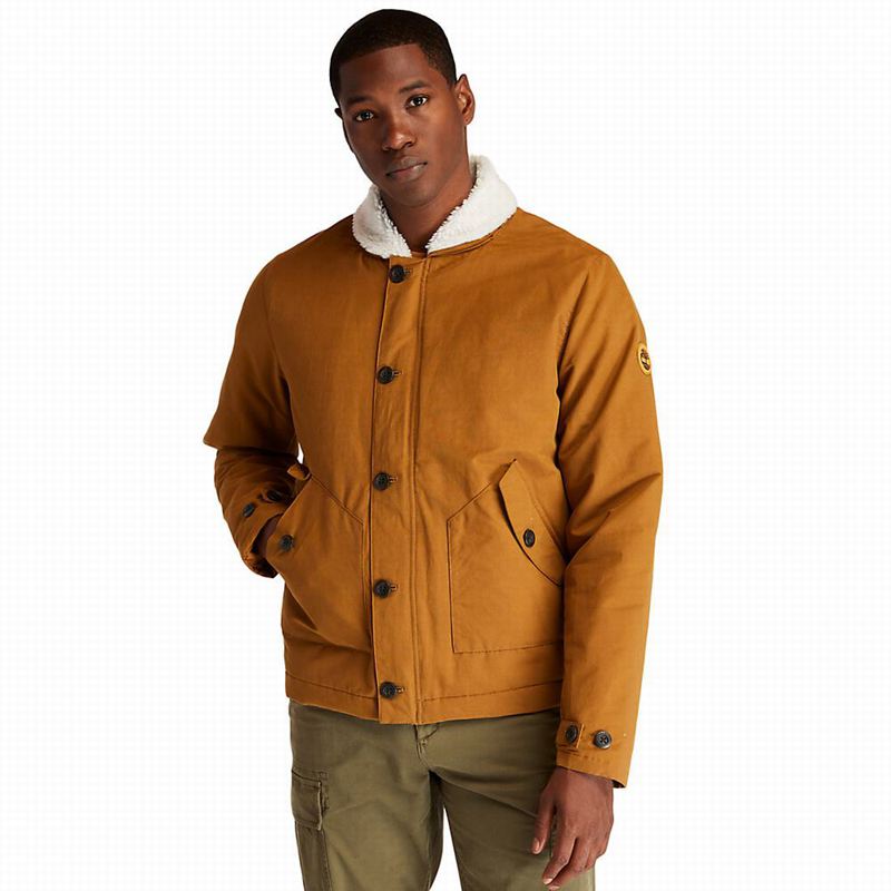 Timberland Corduroy Chore Jakne Smeđe | 64188054