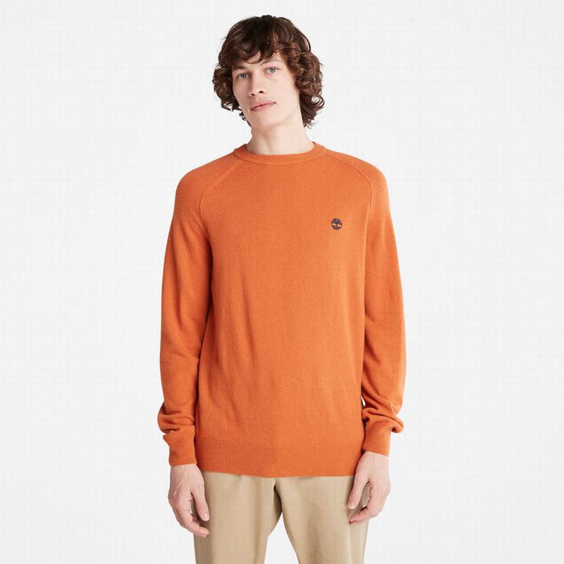 Timberland Crewneck Raglan Skakači Narančaste | 28847908