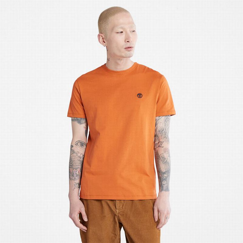 Timberland Cropped Logo Majice Narančaste | 93332054