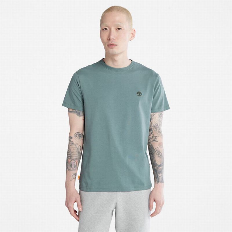 Timberland Cropped Logo Majice Sive | 87080928