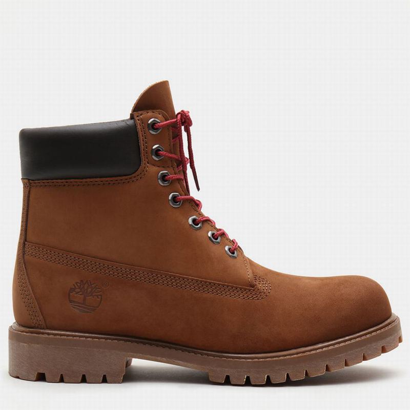 Timberland Exclusive 6 Inch Premium Čizme Smeđe | 36201893