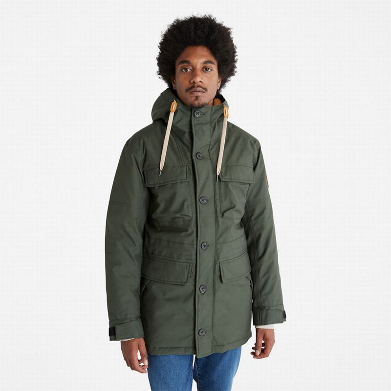 Timberland Expedition Field Parka Maslinasto Zelene | 46266803