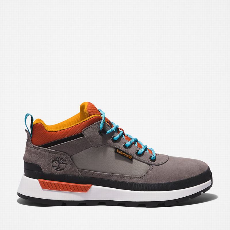 Timberland Field Planinarske Cipele Sive | 65082568