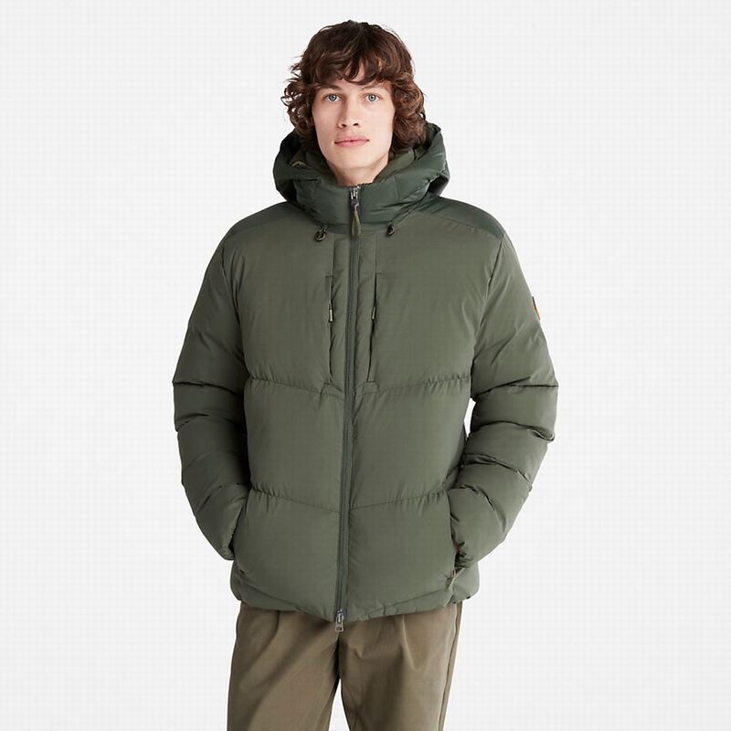 Timberland Fleece Overshirt Zimske Jakne Maslinasto Zelene | 3263987