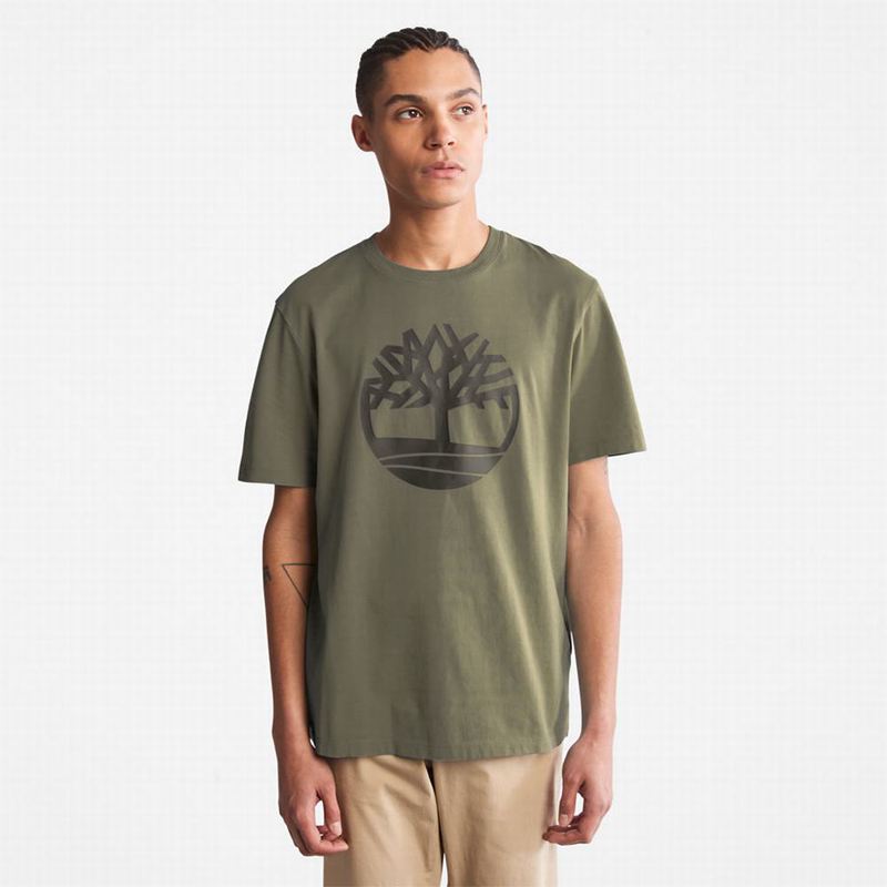 Timberland Front-Graficke Majice Maslinasto Zelene | 73799143