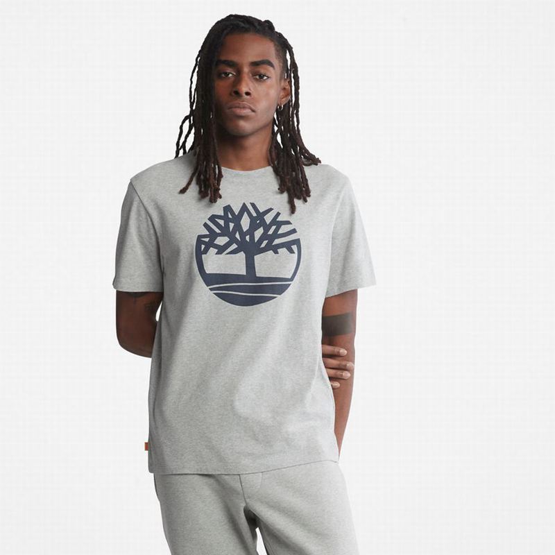 Timberland Front-Graficke Majice Sive | 96081627