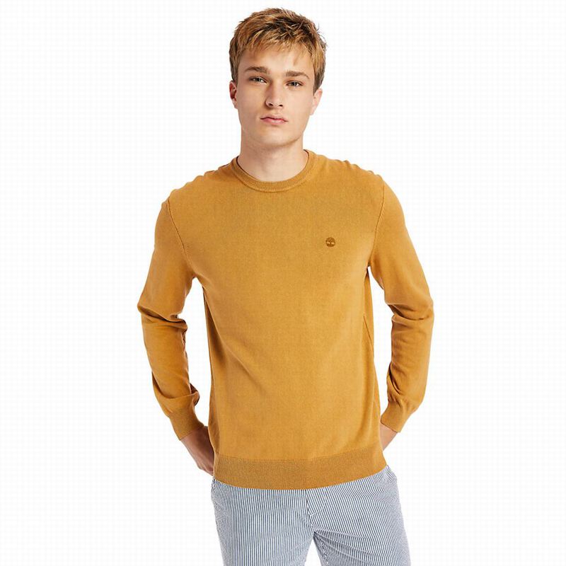 Timberland Garment-Dyed Dukserice Žute | 2019687