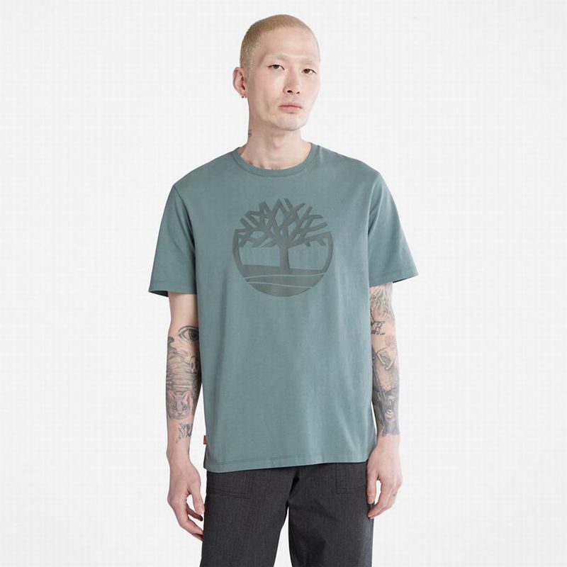Timberland Graficke-Logo Majice Sive | 89327502