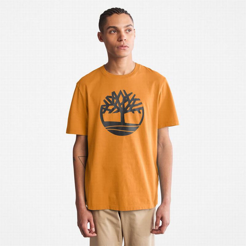 Timberland Graficke-Logo Majice Žute | 58509718
