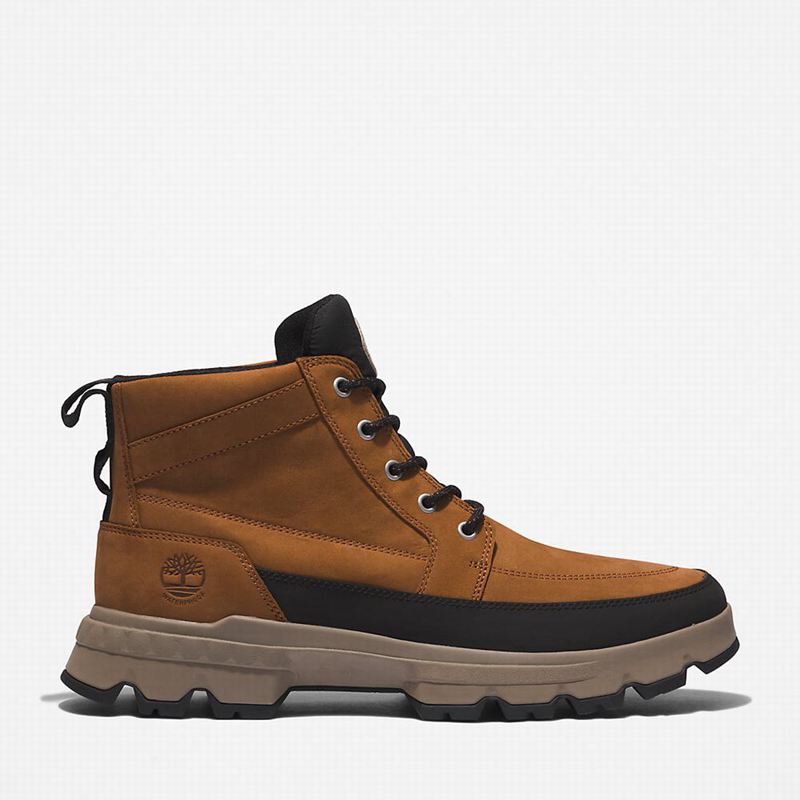 Timberland GreenStride Originali Chukka Čizme Smeđe | 84870242