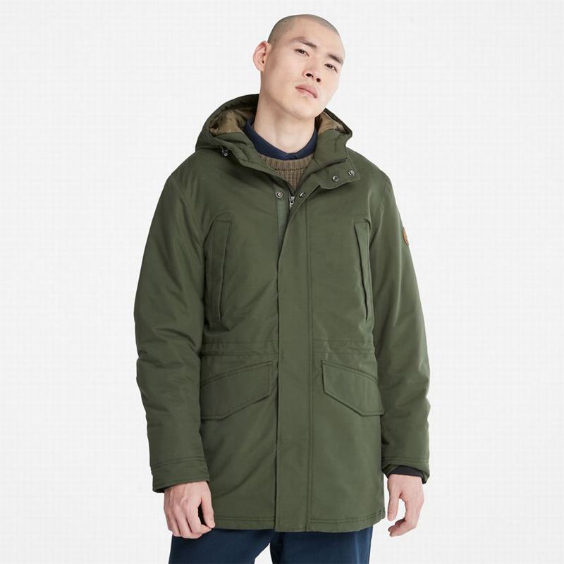 Timberland Insulated City Parka Maslinasto Zelene | 71325991