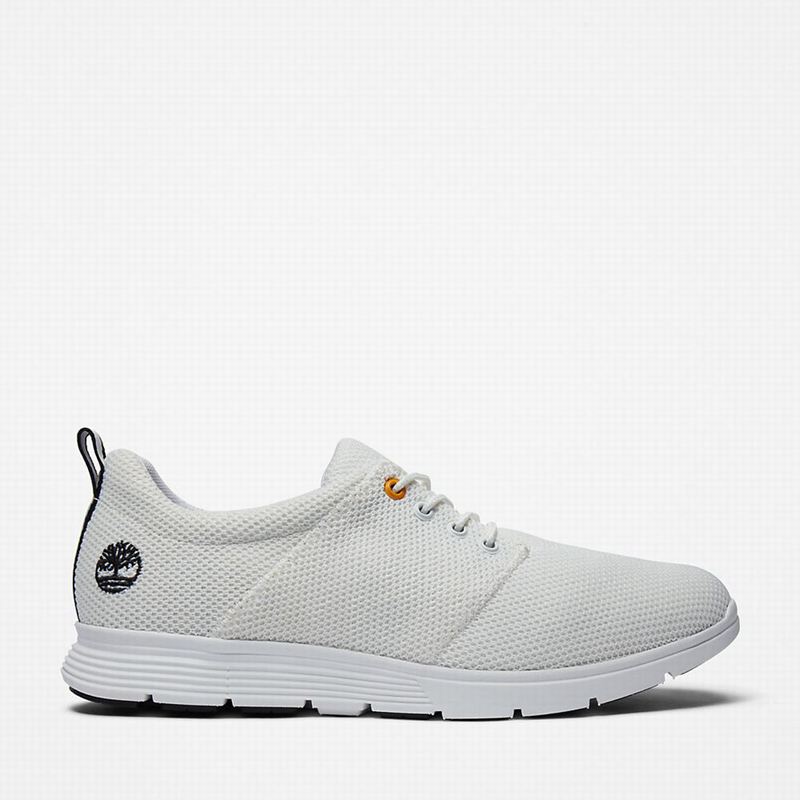 Timberland Killington Oxford Tenisice Bijele | 75202594