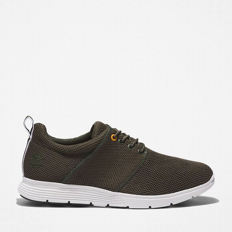Timberland Killington Oxford Tenisice Maslinasto Zelene | 63708273