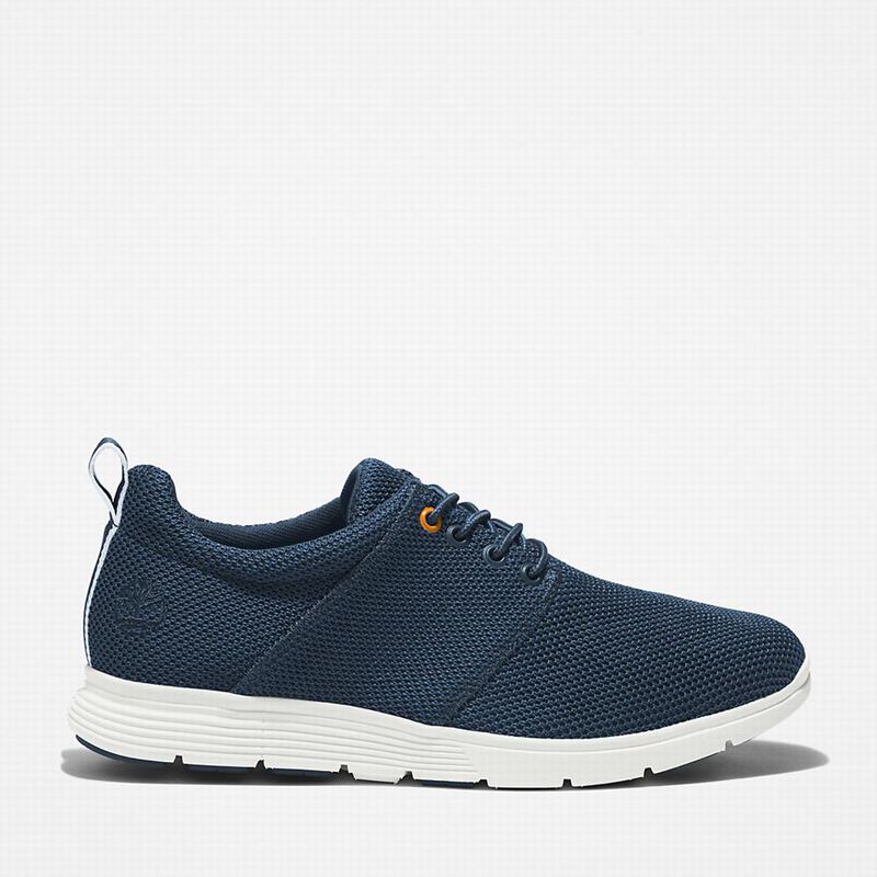 Timberland Killington Oxford Tenisice Plave | 51060872