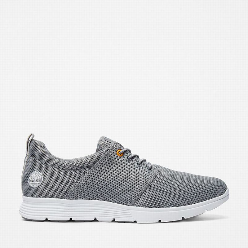 Timberland Killington Oxford Tenisice Sive | 52934013