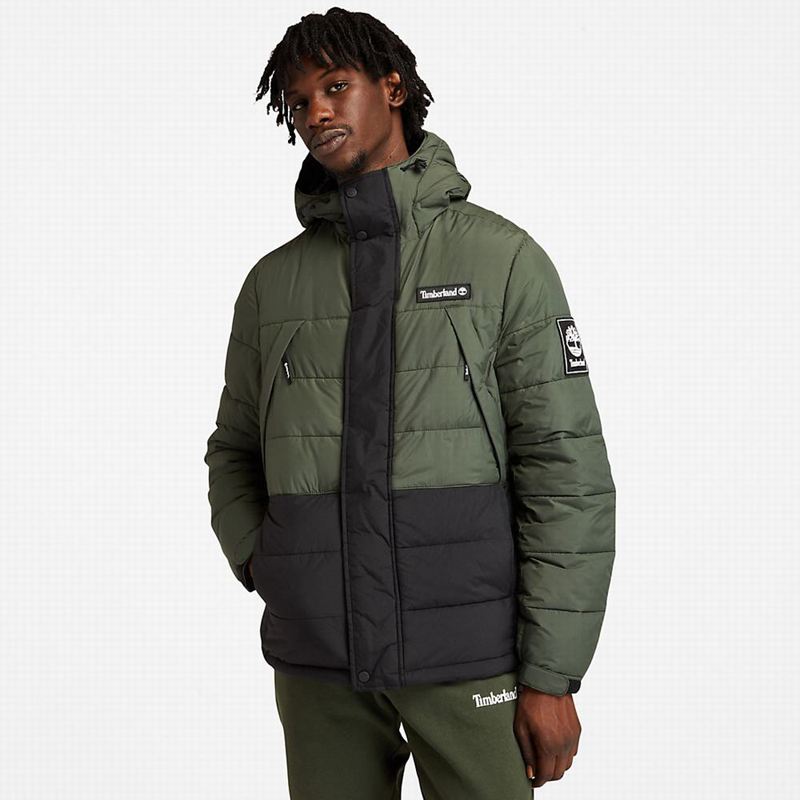 Timberland Light Insulated Donje Jakne Zelene | 76175581
