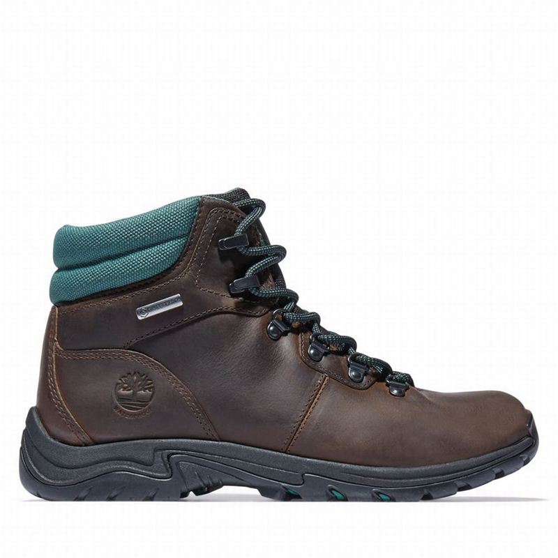 Timberland Mount Maddsen Planinarske Cipele Smeđe | 31992866