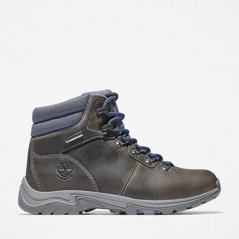 Timberland Mount Maddsen Planinarske Cipele Sive | 70702795