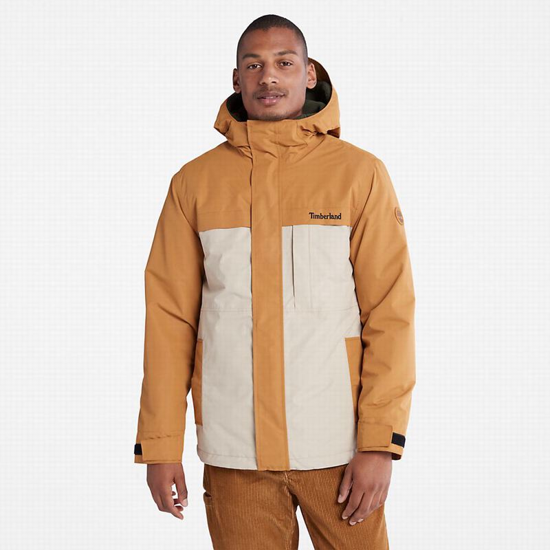Timberland Mount Redington Nepromociva Jakna Smeđe | 290744