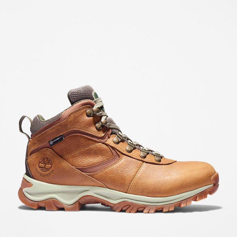 Timberland Mt. Maddsen Waterproof Planinarske Cipele Smeđe | 52826465