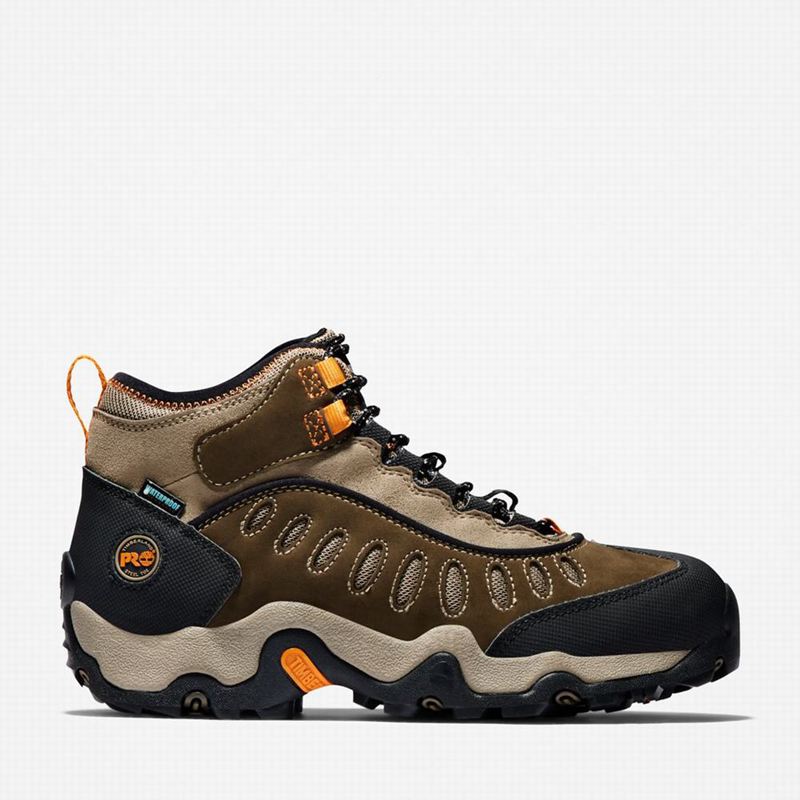 Timberland Mudslinger Steel Toe Waterproof Radne Čizme Smeđe | 75722117
