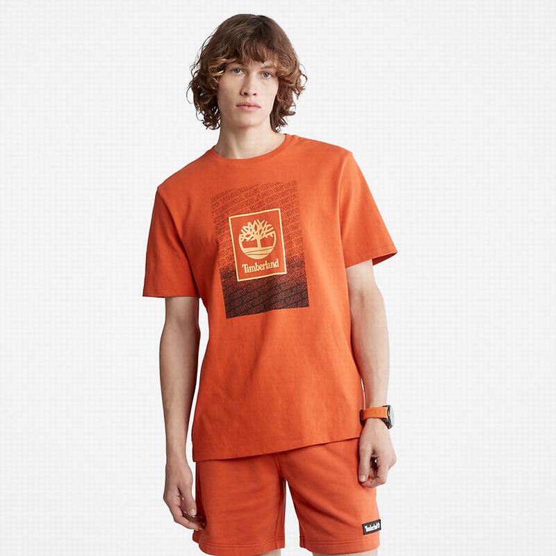 Timberland Multi-Logo Back-Graficke Majice Narančaste | 17162202