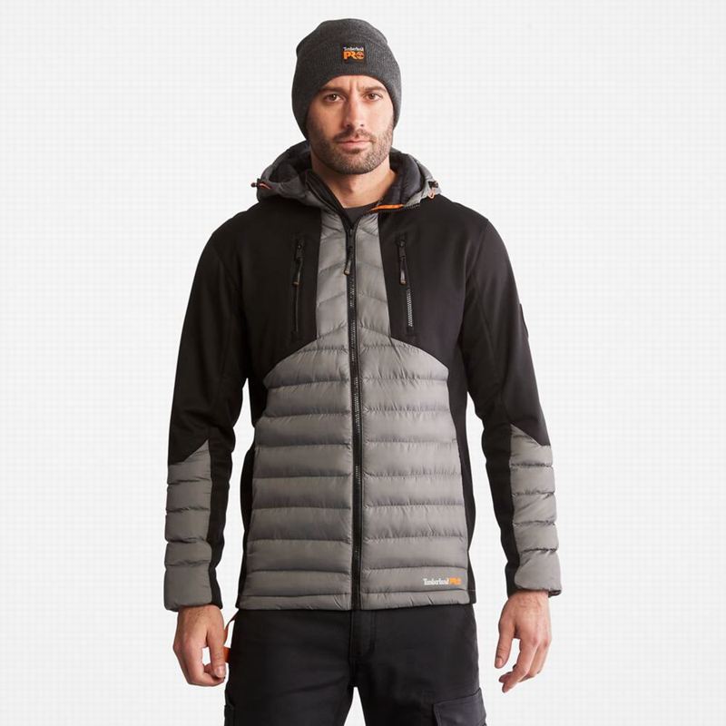 Timberland Non Donje Jakne Sive | 3374951