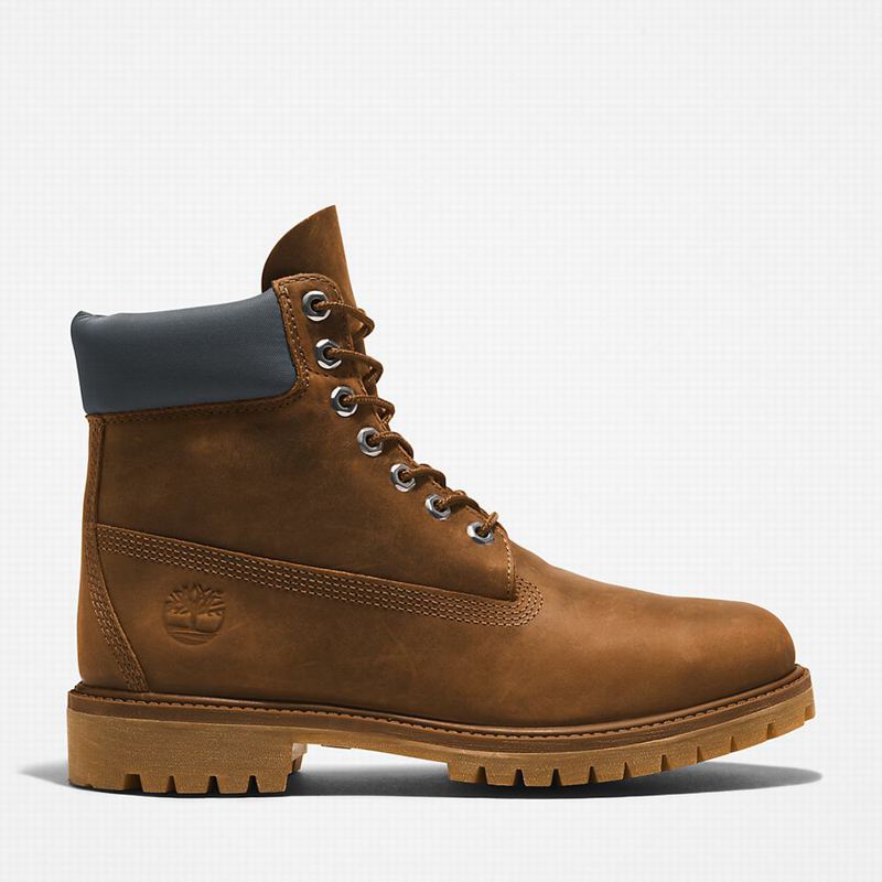 Timberland Premium 6 Inch Čizme Smeđe | 70479724