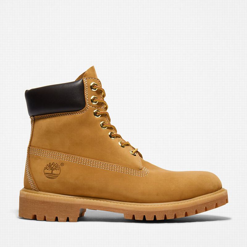 Timberland Premium 6 Inch Čizme Žute | 37196182