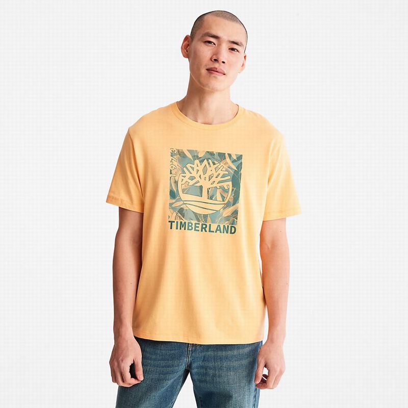 Timberland Raglan-sleeve Logo Majice Narančaste | 30266006