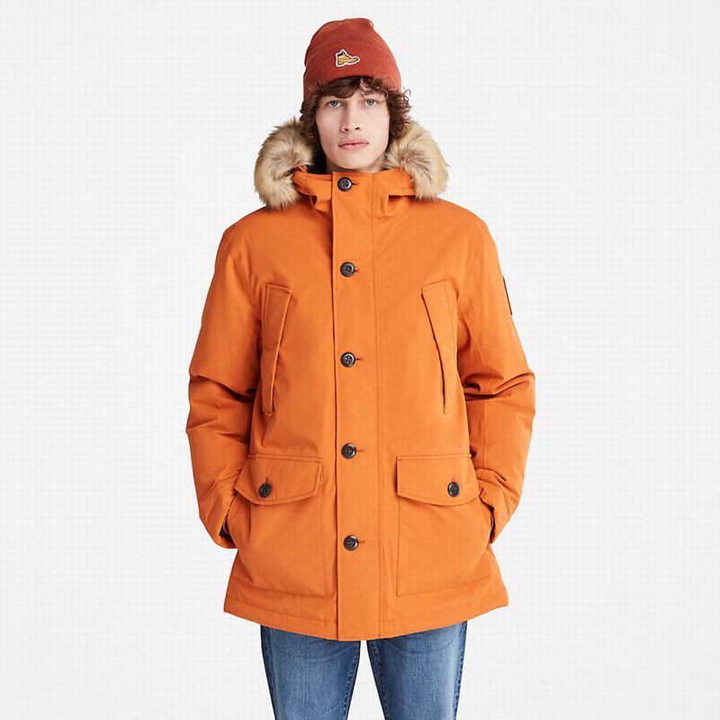 Timberland Scar Ridge DryVent Parka Narančaste | 62033864