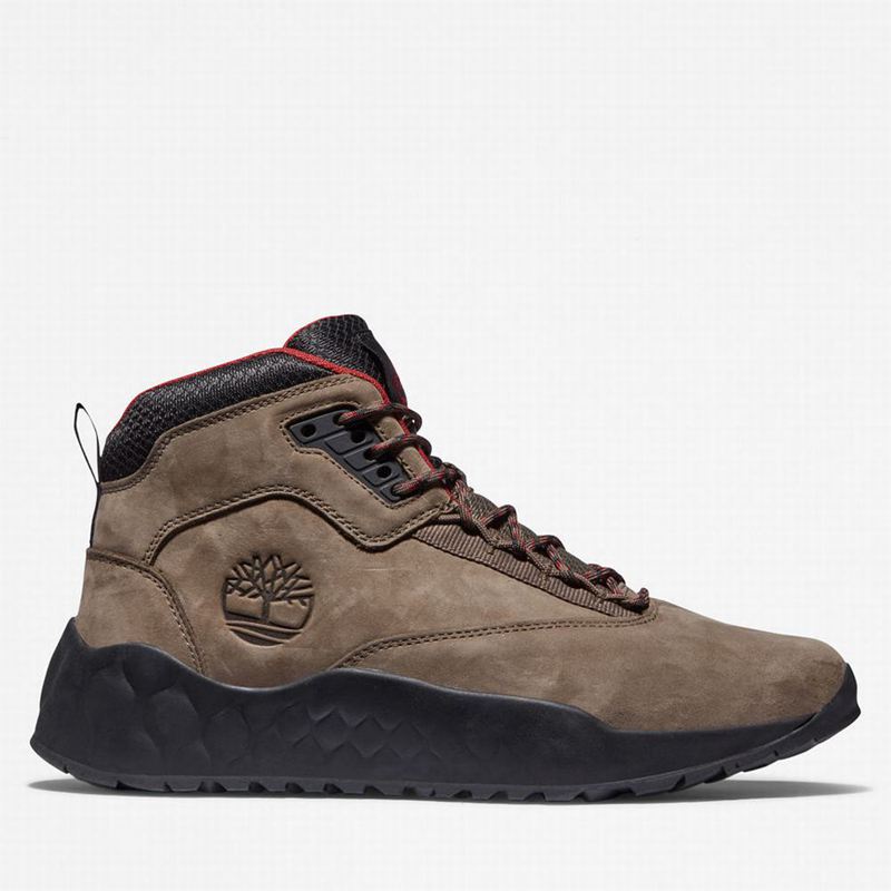 Timberland Solar Wave GreenStride Chukka Čizme Smeđe | 52926463