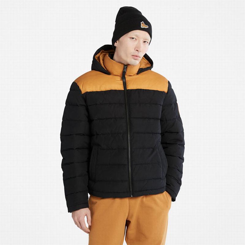 Timberland South Twin Jakne Žute | 40834053