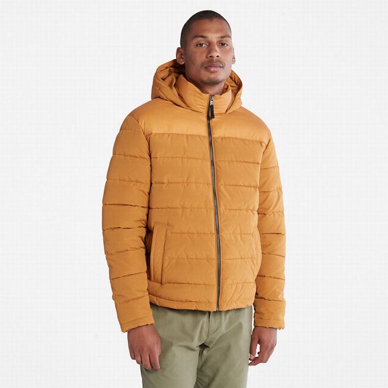 Timberland South Twin Jakne Žute | 47551027