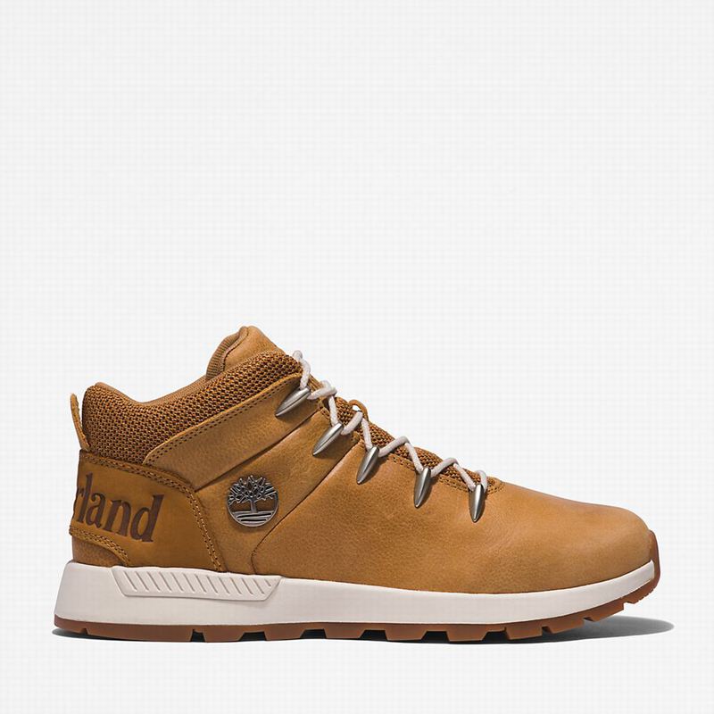 Timberland Sprint Mid Planinarske Cipele Smeđe | 2224082