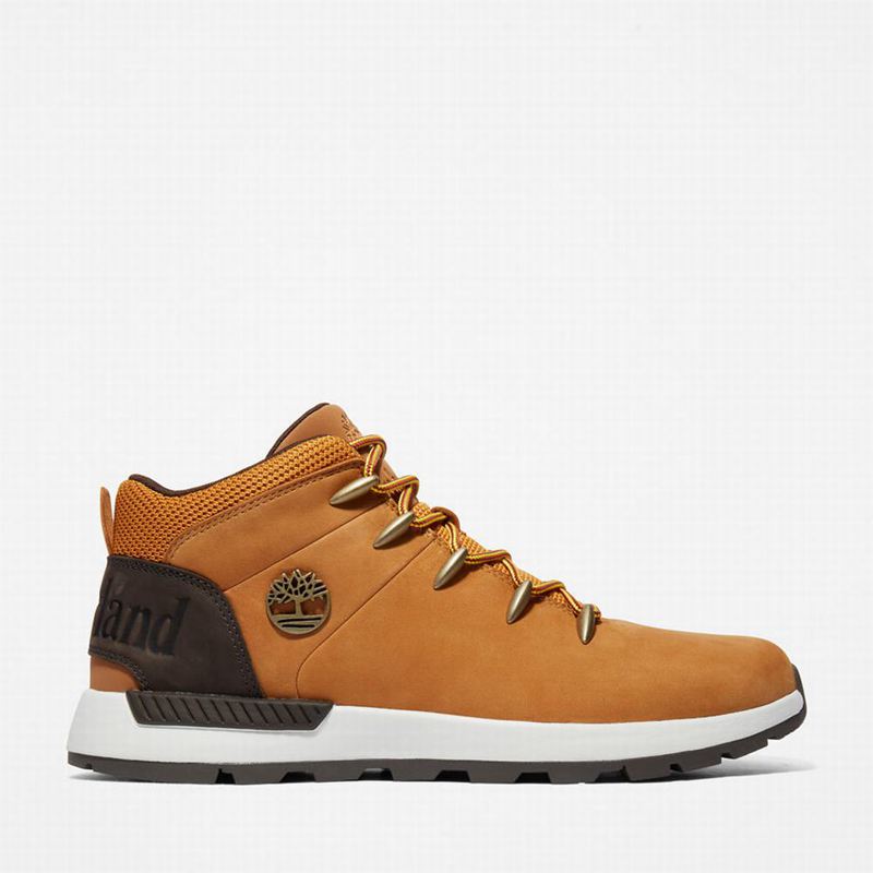 Timberland Sprint Mid Planinarske Cipele Žute | 55742804