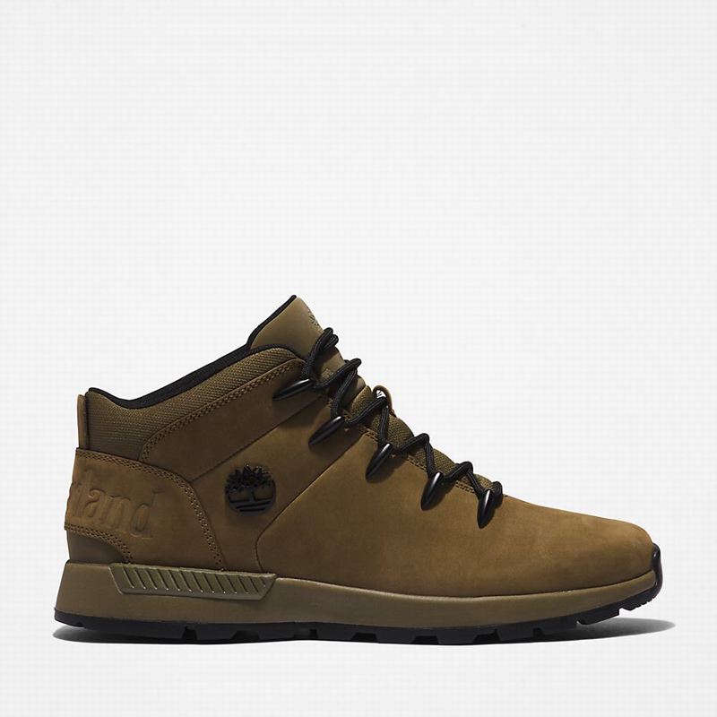 Timberland Sprint Mid Planinarske Cipele Maslinasto Zelene | 82441498