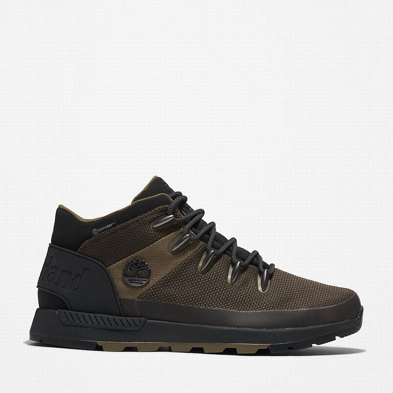 Timberland Sprint Trekker Chukka Čizme Maslinasto Zelene | 24093752