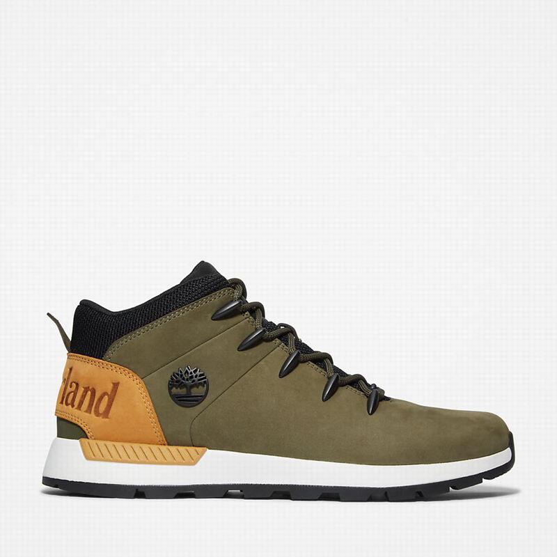 Timberland Sprint Trekker Chukka Čizme Maslinasto Zelene | 79669734