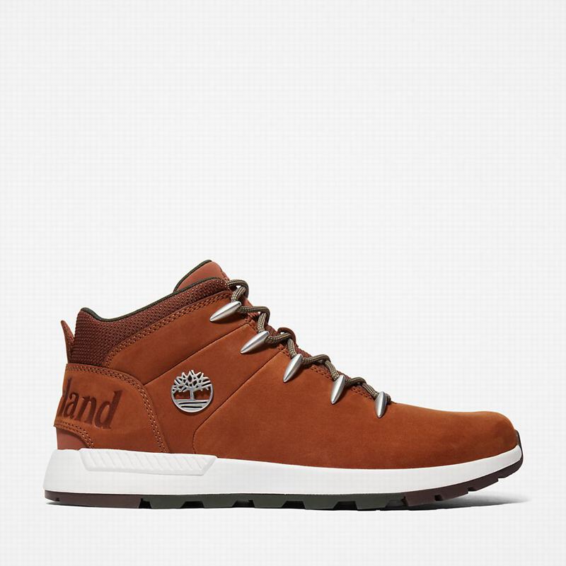 Timberland Sprint Trekker Chukka Čizme Smeđe | 71075917