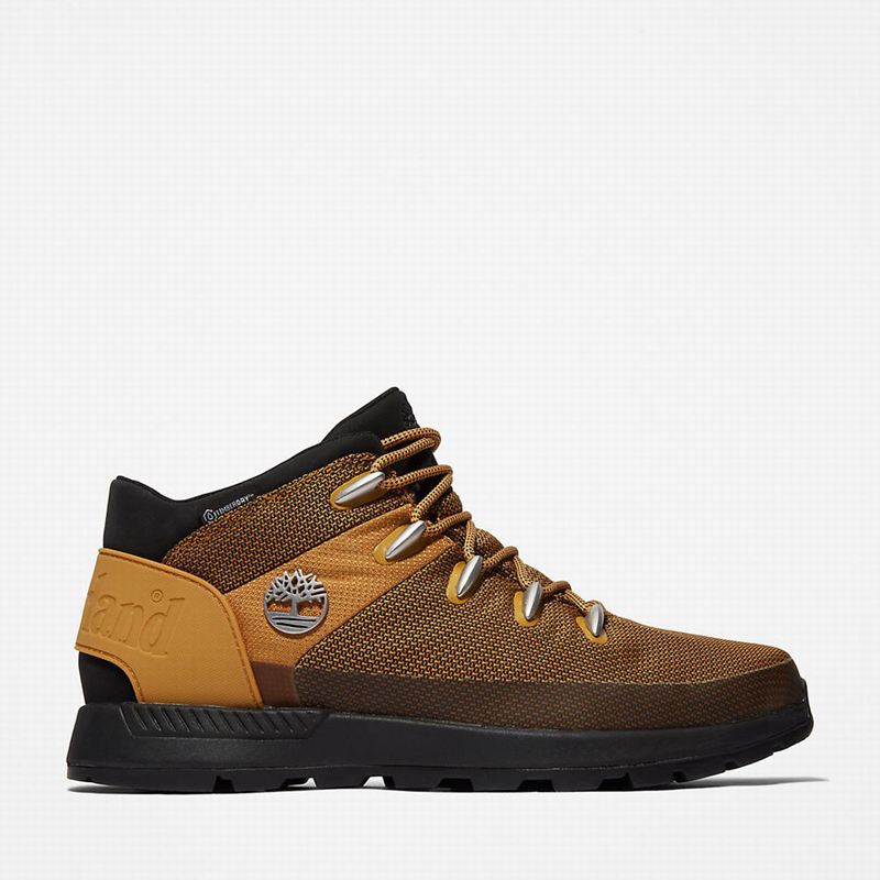 Timberland Sprint Trekker Chukka Čizme Žute | 3437814