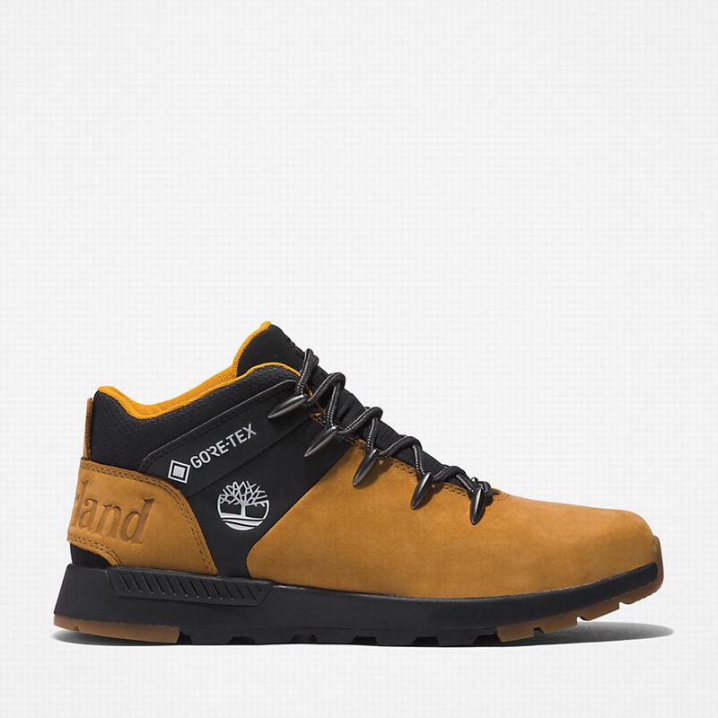 Timberland Sprint Trekker Gore-Tex Chukka Čizme Smeđe | 14262612