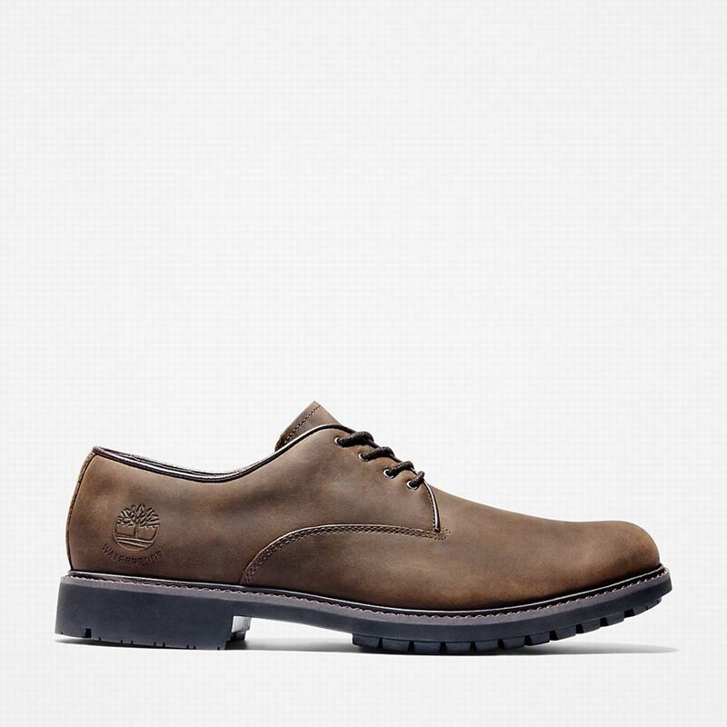 Timberland Stormbucks Oxfordice Smeđe | 3135764
