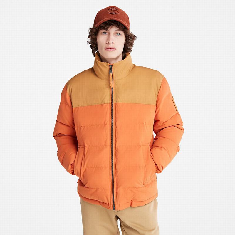 Timberland Stow-and-Go Donje Jakne Smeđe | 6404540