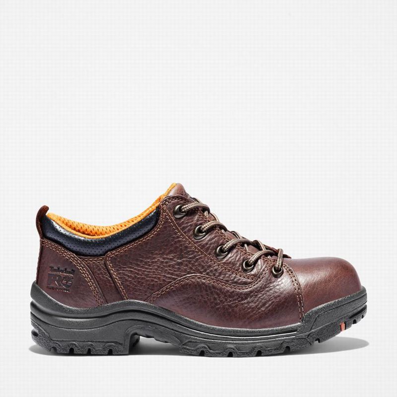 Timberland TiTAN Casual Alloy Toe Radne Cipele Smeđe | 3115056